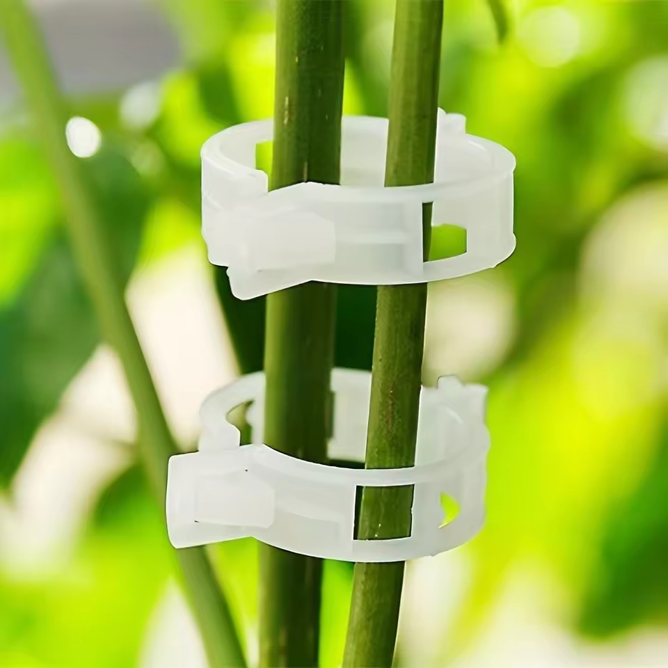 20個入り植物サポートクリップ、スナップオン式再利用可能なガ - Gardening Tools Vegetables のレビューと価格