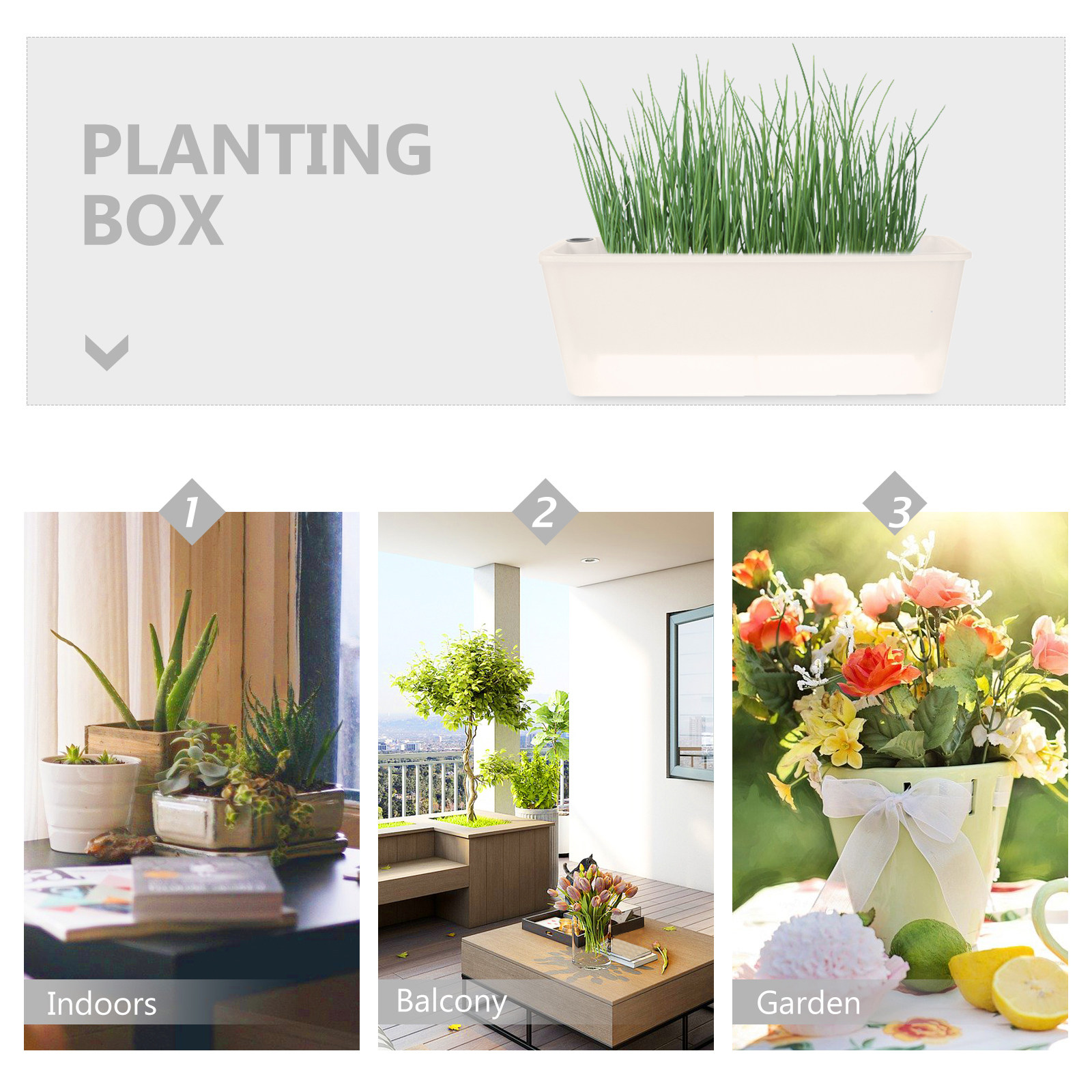 長方形プランター、プラスチック製、窓辺用、花箱、バルコニー用 - Self-Watering Planter のレビューと価格