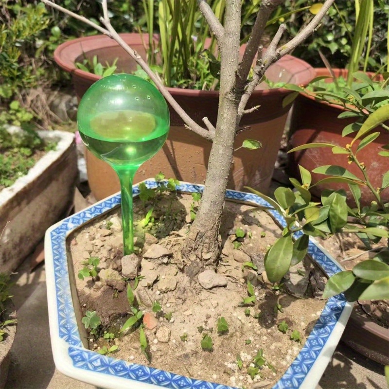 6個入り 室内植物用自動給水ボール 自動植物花水球 ドリップ - Automatic Plant Waterer のレビューと価格
