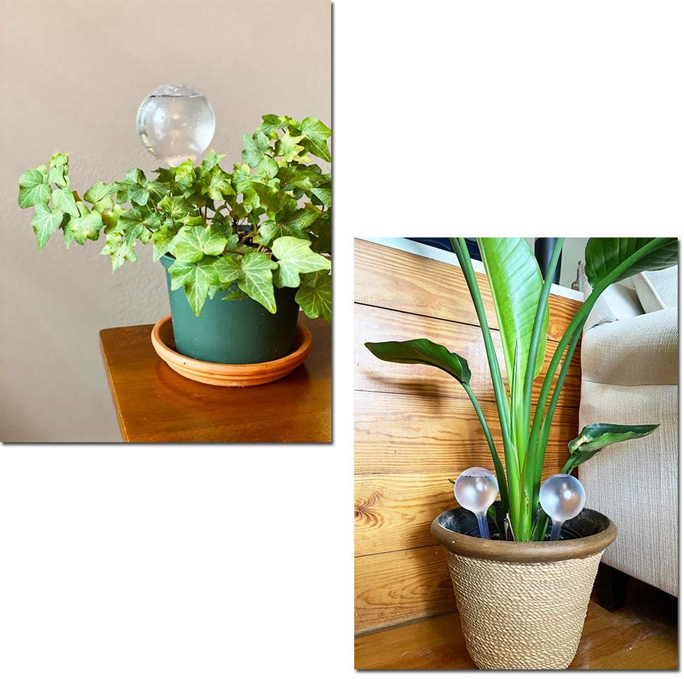 プラスチック製の自動植物散水装置,屋内および屋外の花の水缶, - Automatic Plant Waterer のレビューと価格