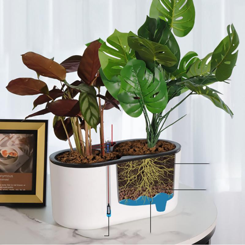 インジケーター付き屋内植物,木の脚,花,容器,滑り止め,通気 - Automatic Plant Waterer のレビューと価格